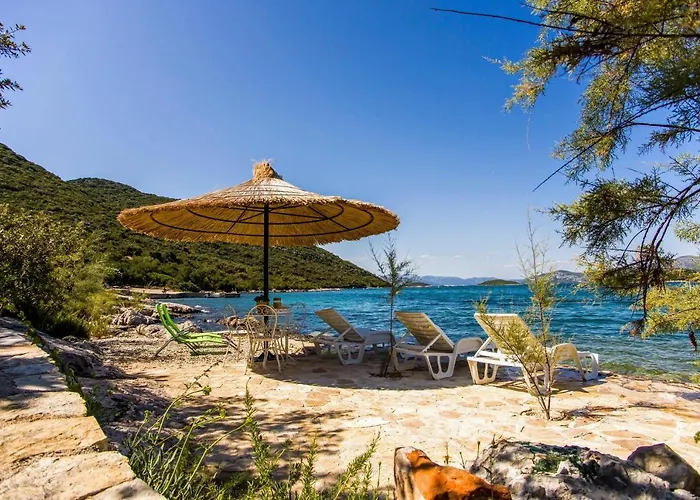 Villa Dom Putnikovic